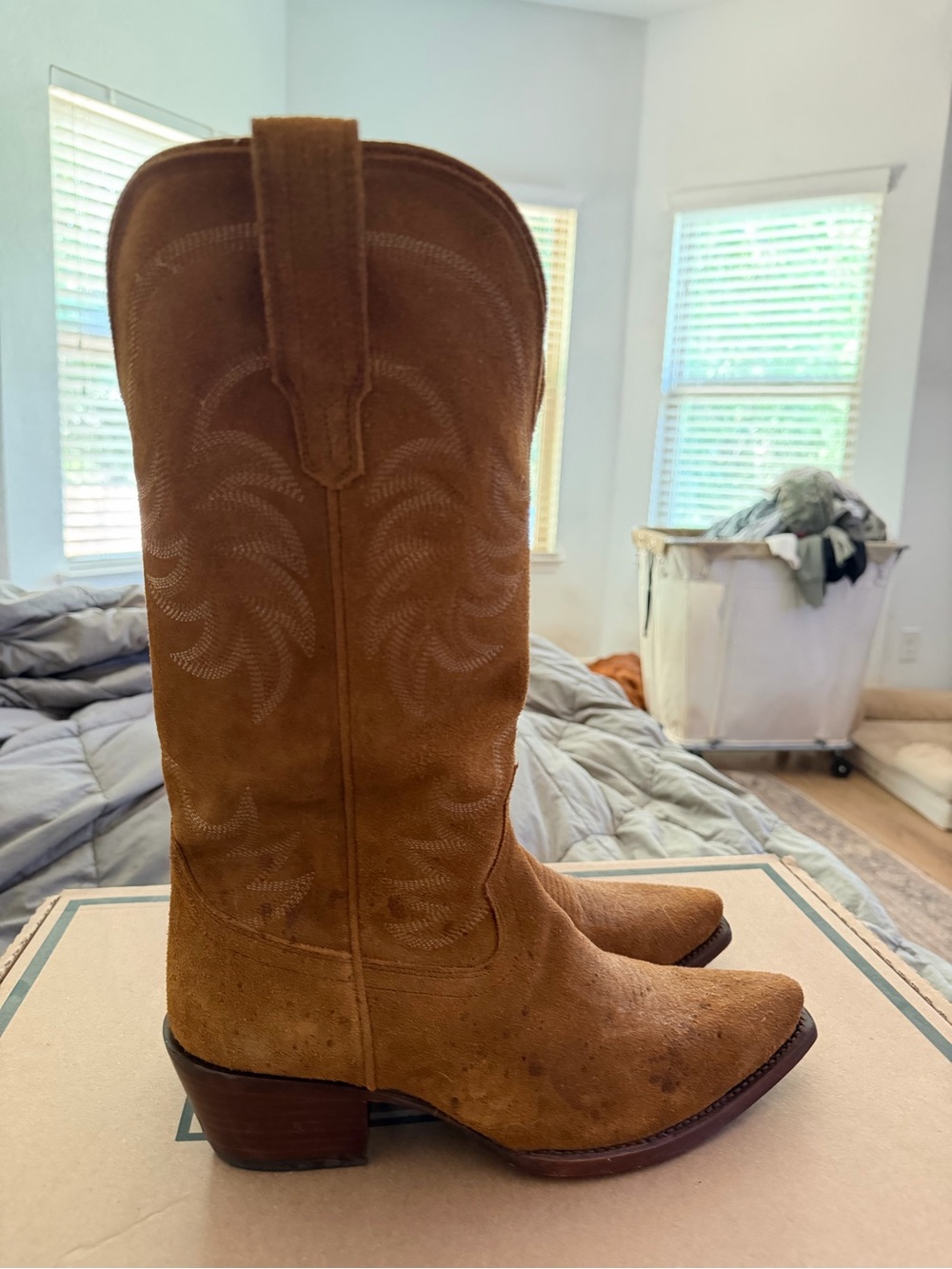 Tecovas The Annie Sienna Suede Cowgirl Boots - Picture 6 of 15